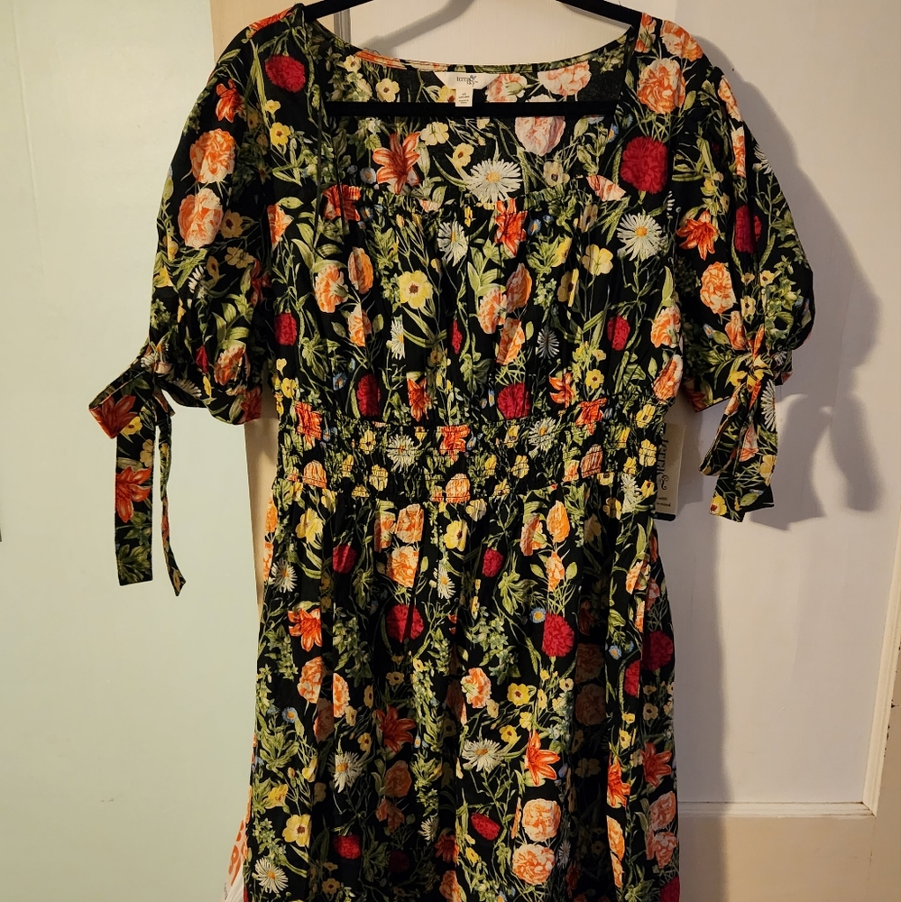 Terra and Sky dress NWT